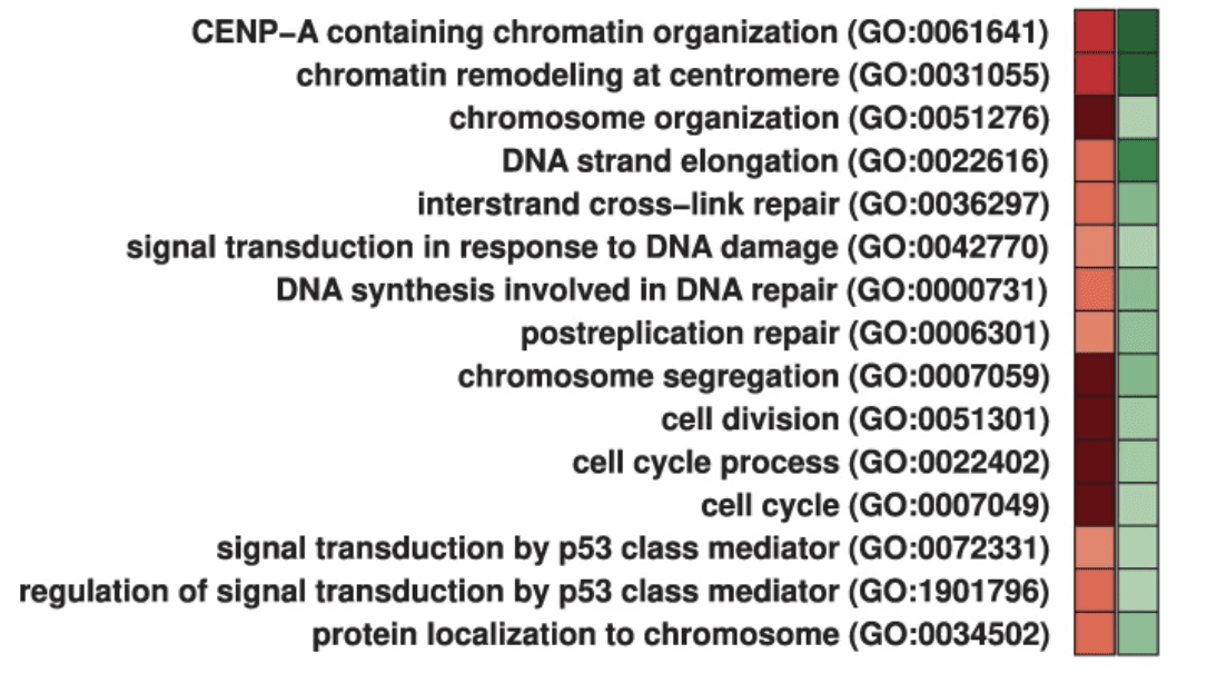 Publication image for Genomic analyses of early responses to radiation in glioblastoma reveal new alterations at transcription, splicing, and translation levels