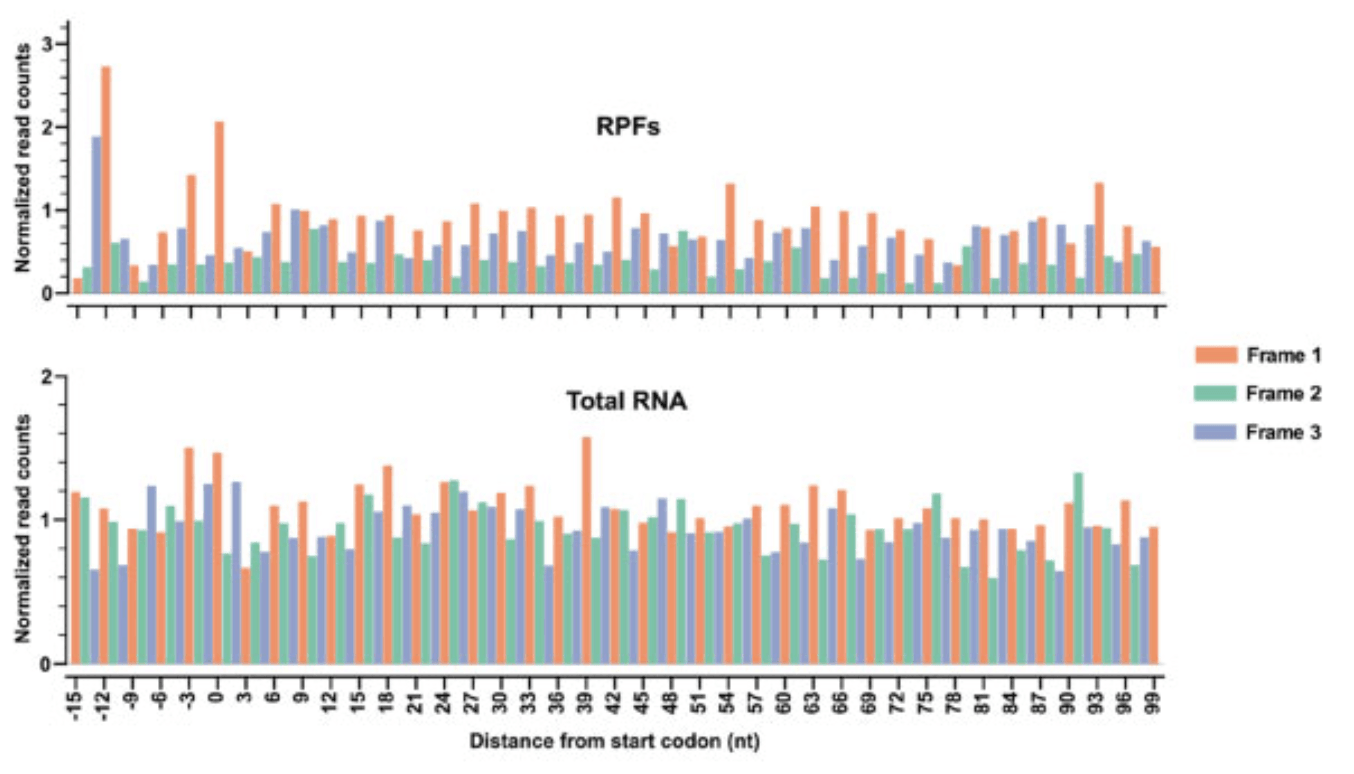 Publication image for Global translational landscape of the Candida albicans morphological transition