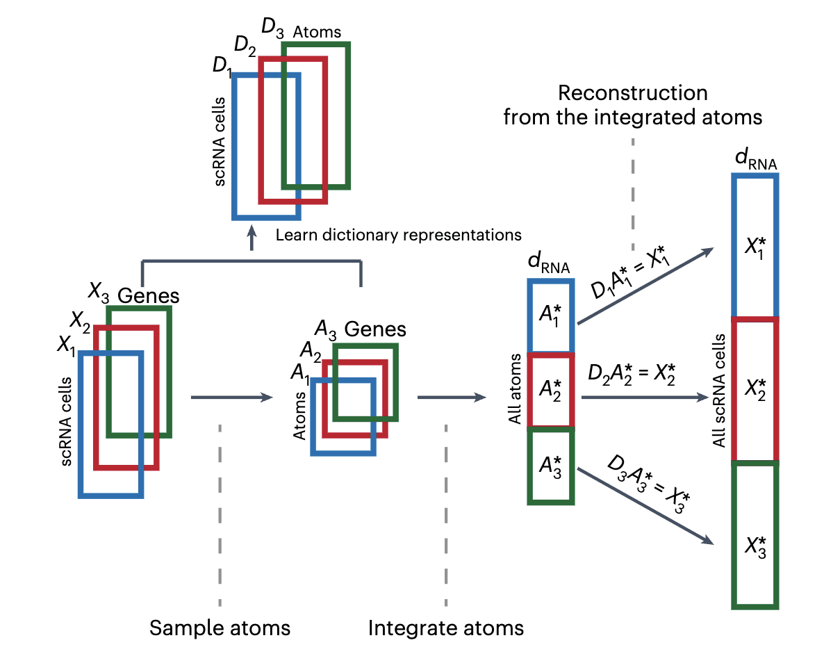 Publication image for Dictionary learning for integrative, multimodal and scalable single-cell analysis